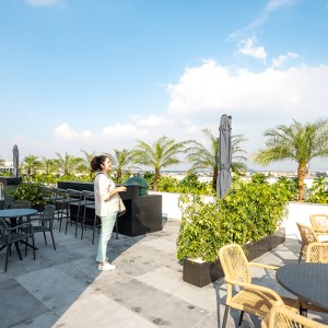 Proyecto Vía Insurgentes 